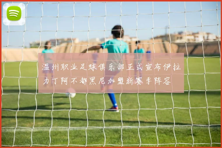 温州职业足球俱乐部正式宣布伊拉力丁阿不都黑尼加盟新赛季阵容