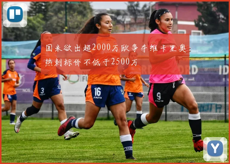 国米欲出超2000万欧争夺维卡里奥热刺标价不低于2500万