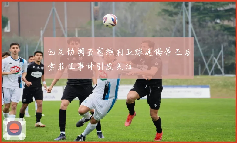 西足协调查塞维利亚球迷侮辱王后索菲亚事件引发关注