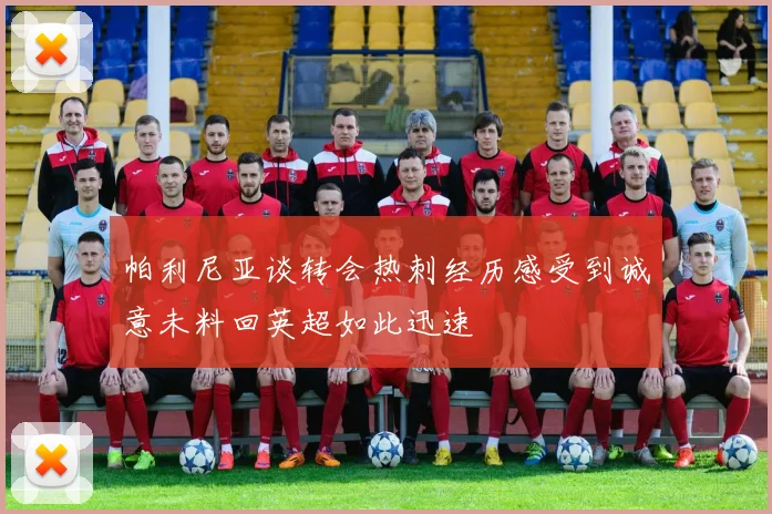 帕利尼亚谈转会热刺经历感受到诚意未料回英超如此迅速