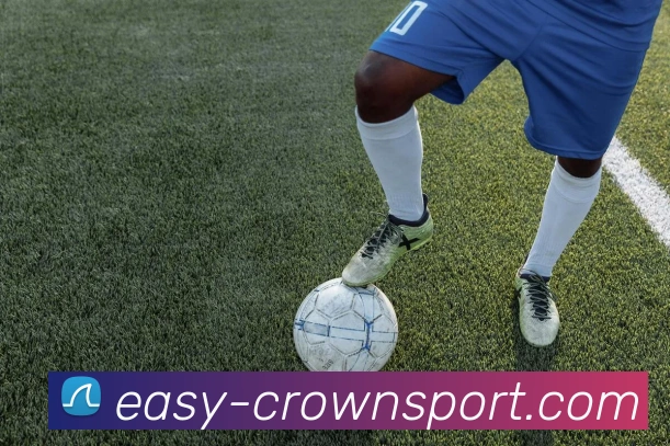 皇冠体育平台生态图