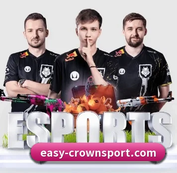 快速发展 - 用户数量爆发式增长,与多家国际知名内容服务商达成深度合作。